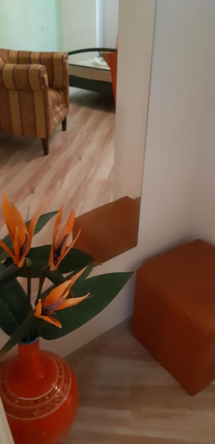 Apartments Olivia プーラ エクステリア 写真